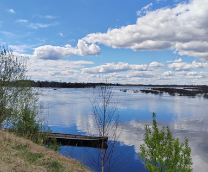 Записки деревенщины