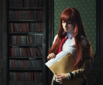 : Steins Gate / TV  / .