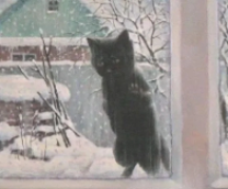 Коты в добрые руки