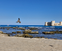 ����������� 