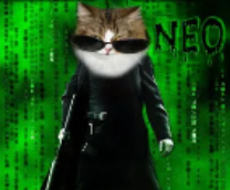 �� ����� � �������