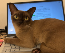 ������ ����� ������������ ���� - �������� ��?