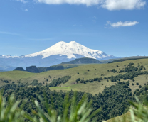 �������� ������ 2025