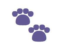 ������� ���������� diabnostic