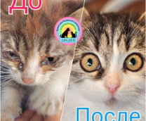 �� � ����� ( ������� ��������)